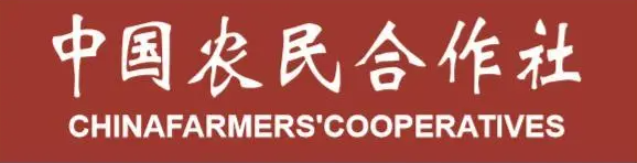 �й�ũ�������